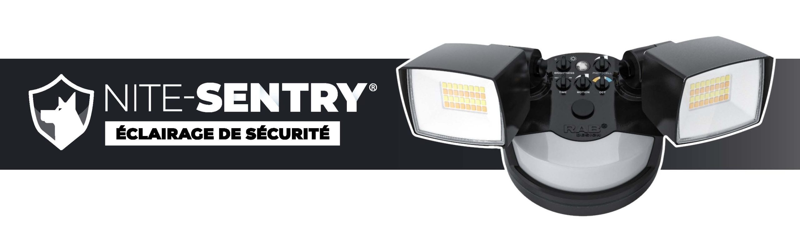 NS2H-LED Security Light